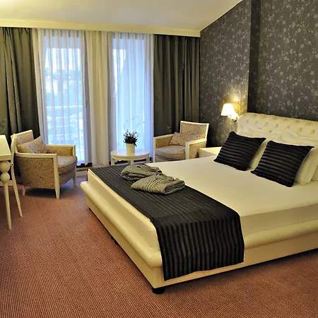Palace Hotel